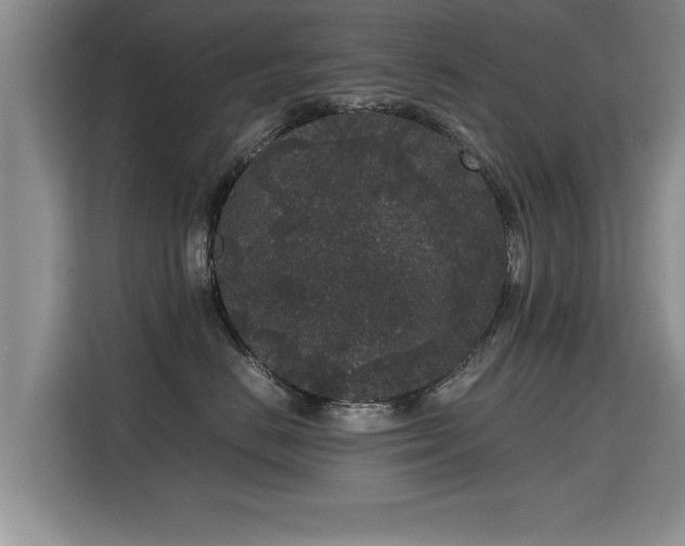 X0000115740670200911191446