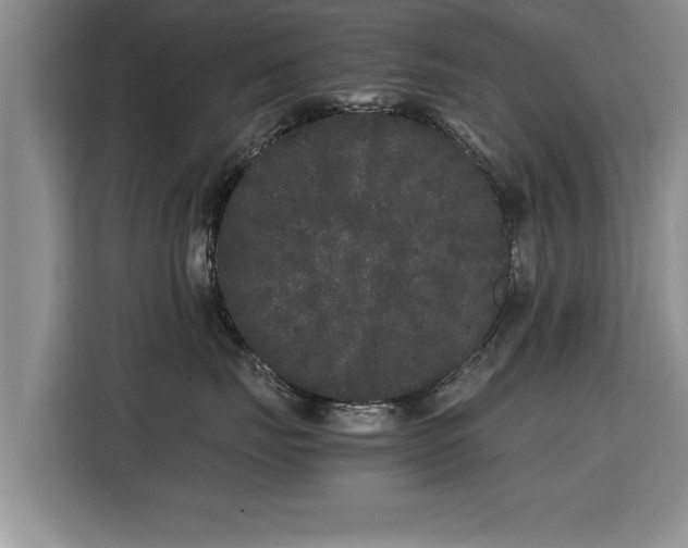 X0000115740671200911191446