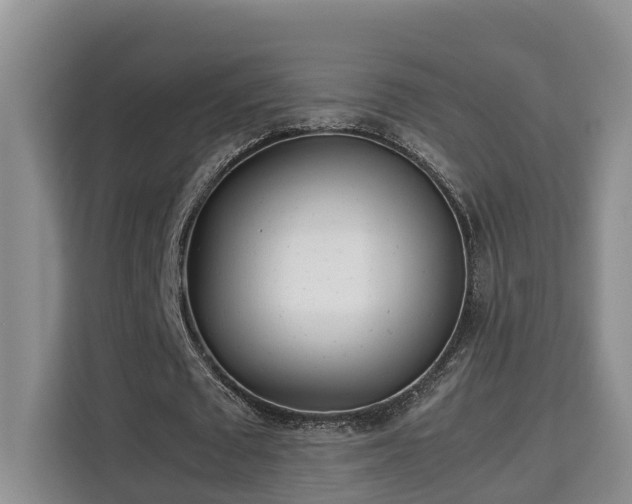 X0000115740673200911191446