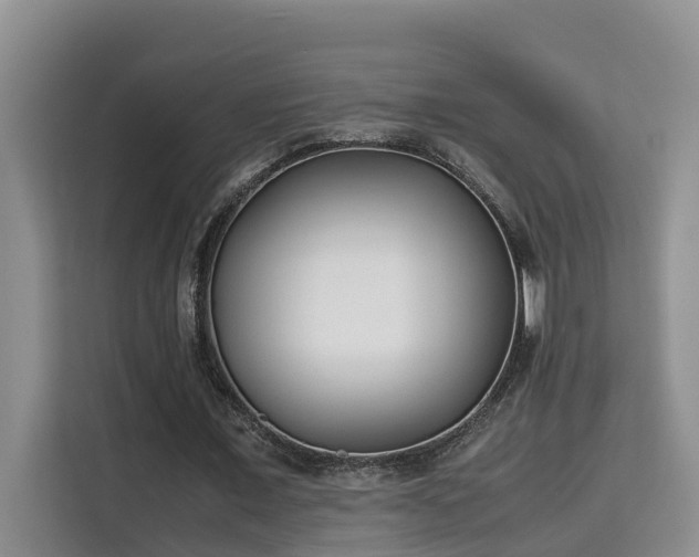 X0000115740675200911191446