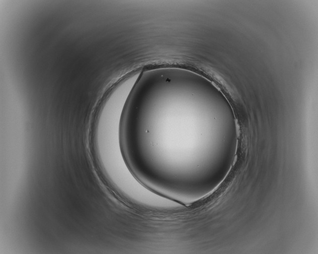 X0000115740677200911191446