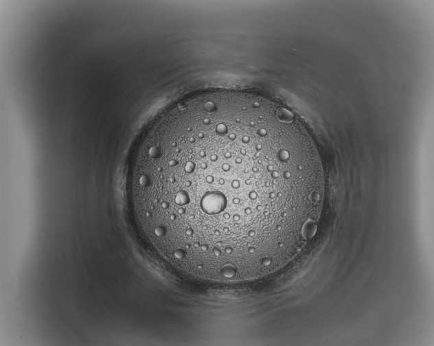 X0000115740679200911191446