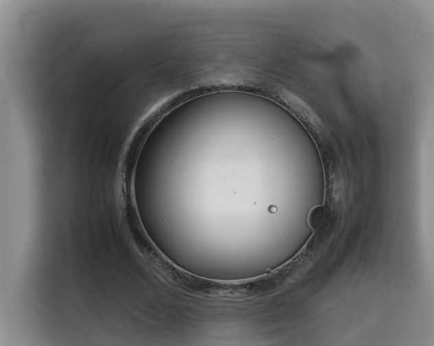 X0000115740680200911191446