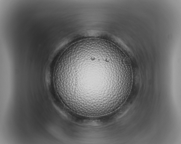 X0000115740683200911191446