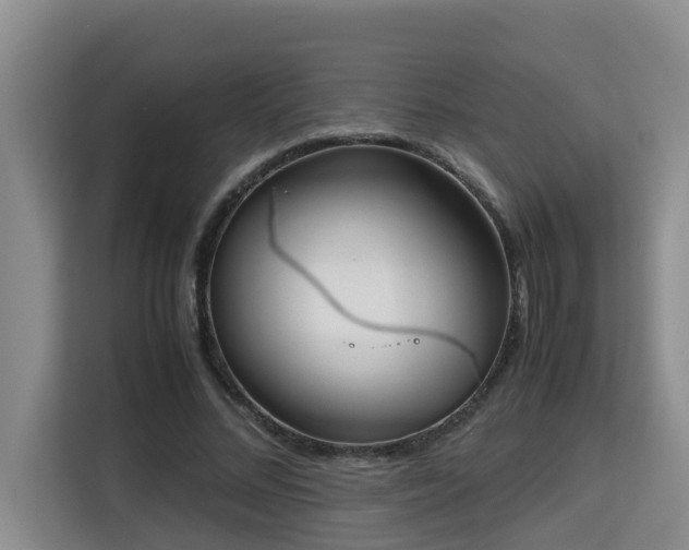 X0000115740684200911191446