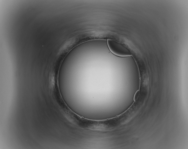 X0000115740685200911191445