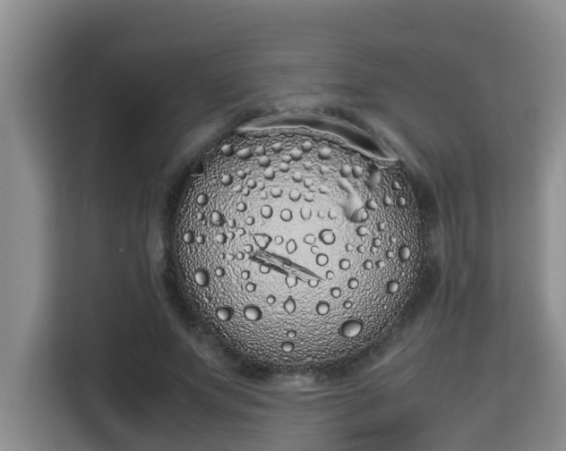 X0000115740687200911191445