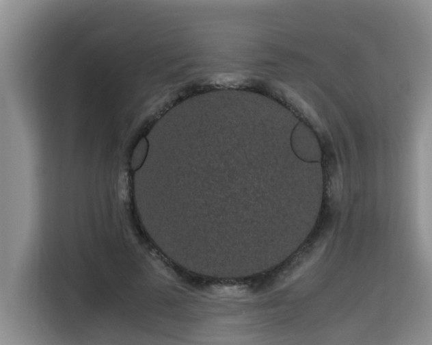 X0000115740689200911191445