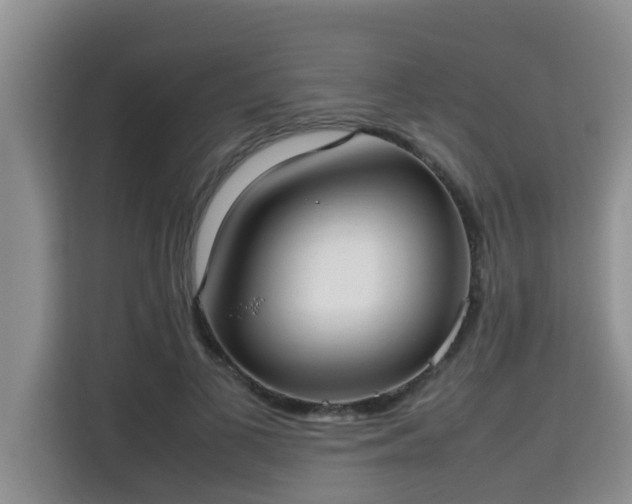 X0000115740693200911191445