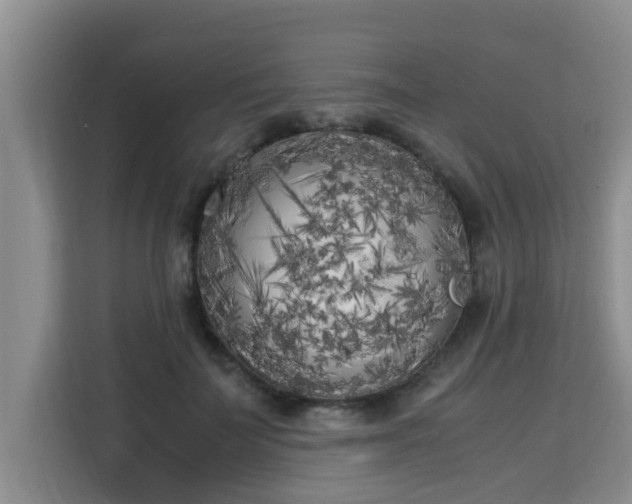 X0000115740699200911191445