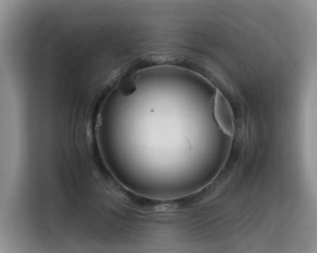 X0000115740700200911191445