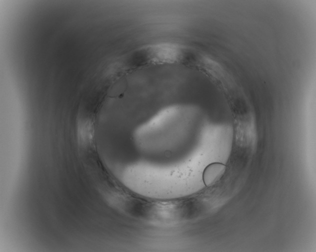 X0000115740701200911191445