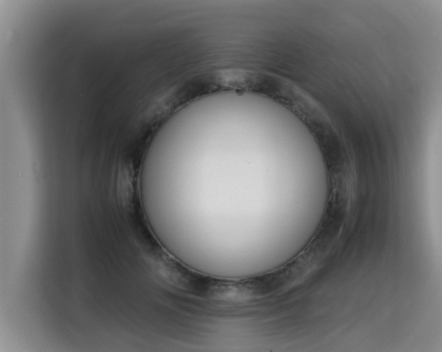 X0000115740702200911191445