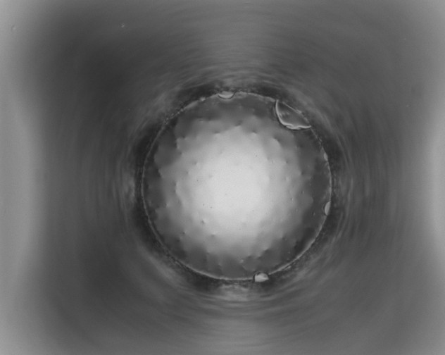 X0000115740703200911191445