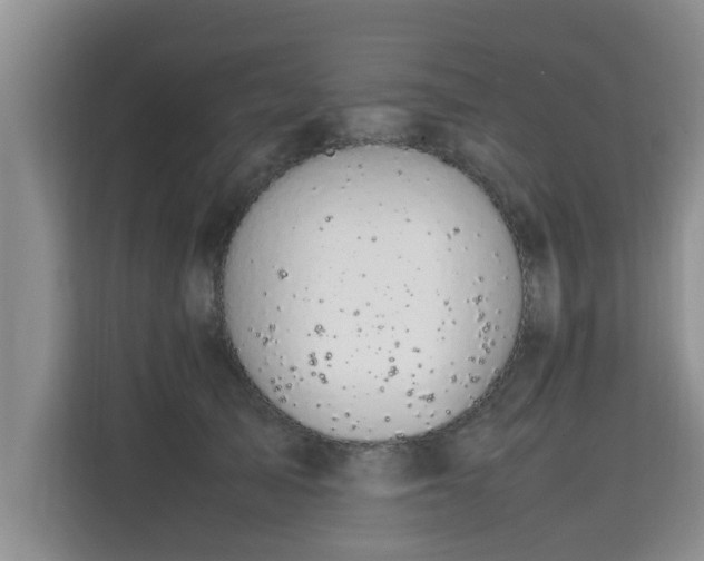 X0000115740705200911191445