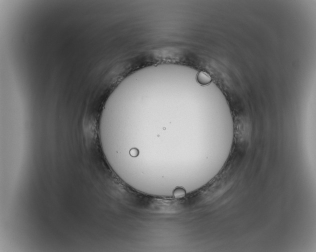 X0000115740713200911191445