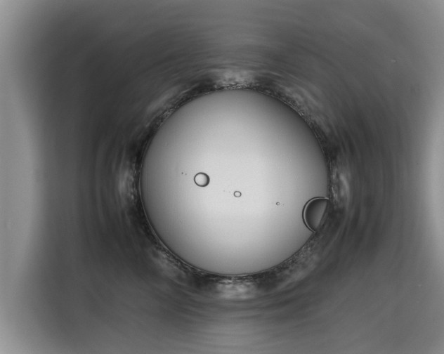 X0000115740714200911191445