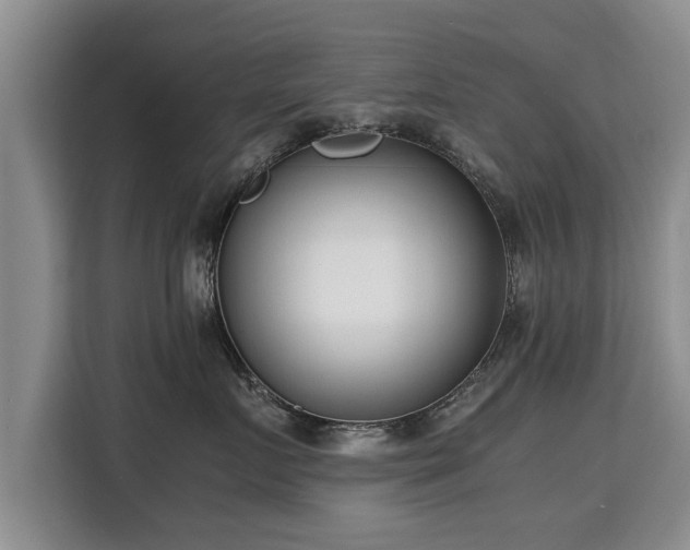 X0000115740719200911191445