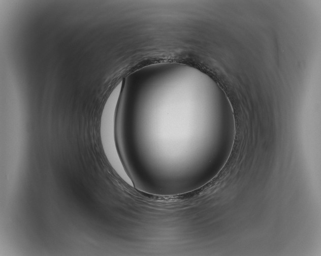 X0000115740720200911191445