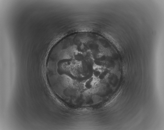 X0000115740721200911191444