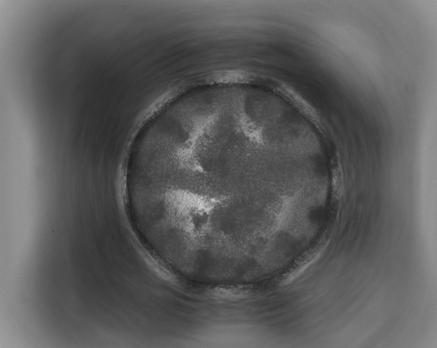 X0000115740725200911191444