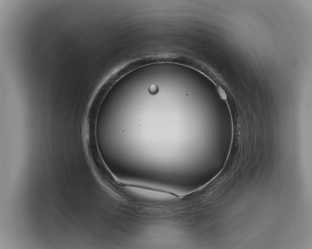 X0000115740726200911191444