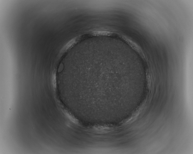 X0000115740729200911191445