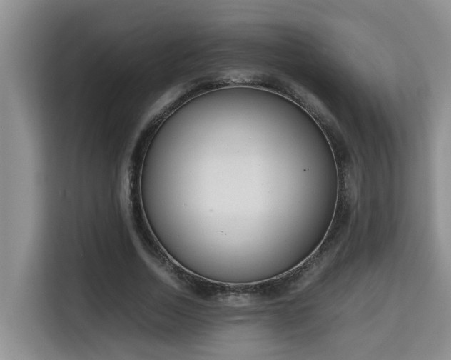 X0000115740730200911191445