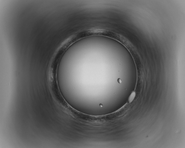 X0000115740731200911191445