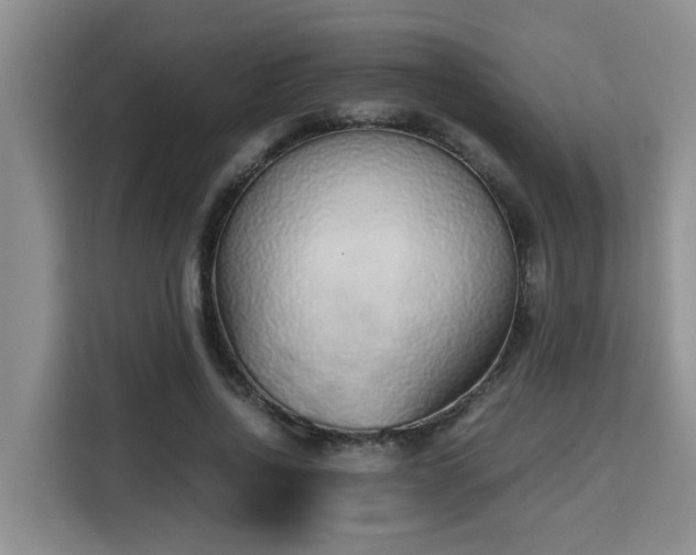 X0000115740734200911191445