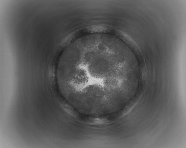 X0000115740737200911191445