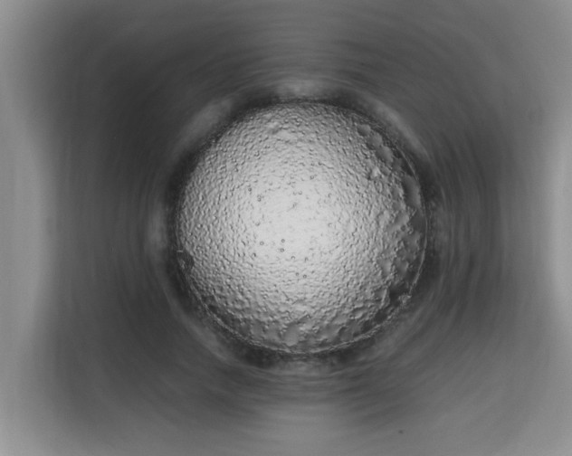 X0000115740738200911191445