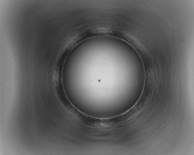 X0000115740739200911191445