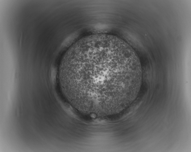 X0000115740742200911191445