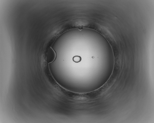 X0000115740743200911191445