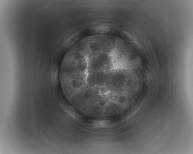 X0000115740745200911191445