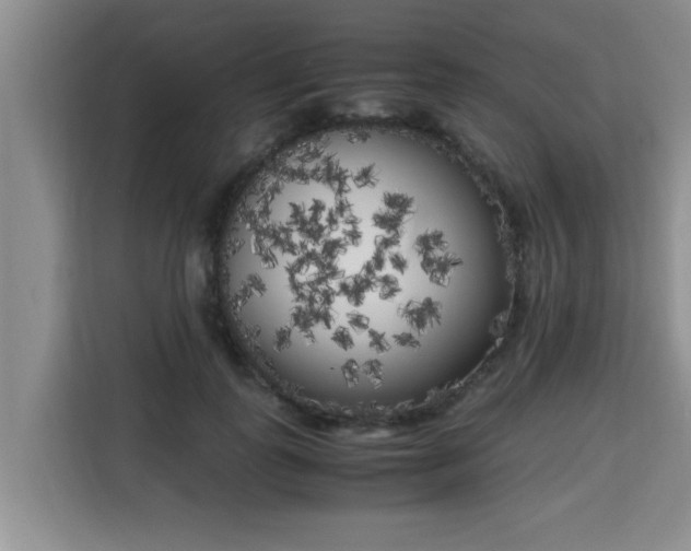 X0000115740747200911191445