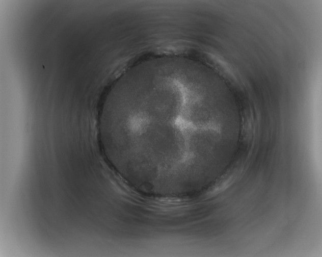 X0000115740749200911191445