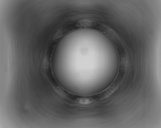 X0000115740751200911191445