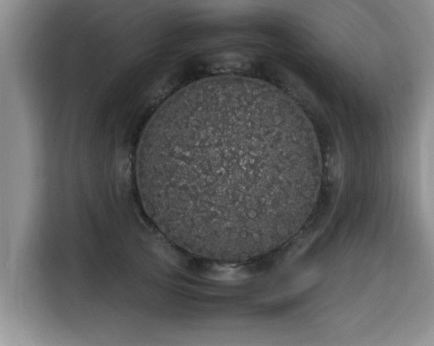 X0000115740753200911191445