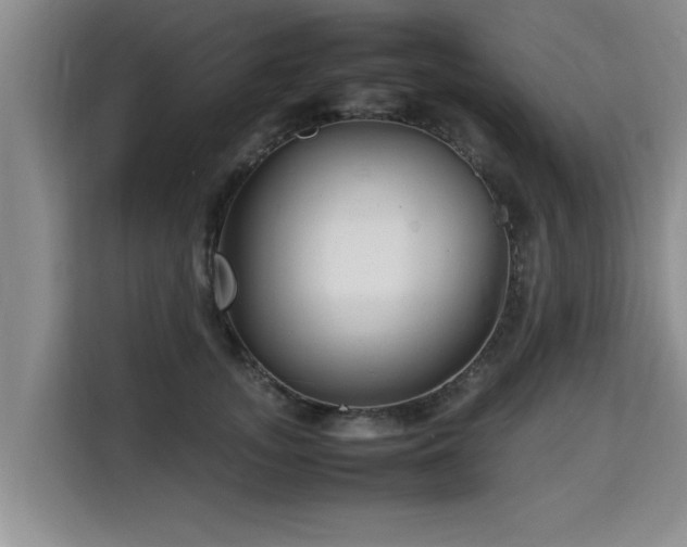 X0000115740755200911191445