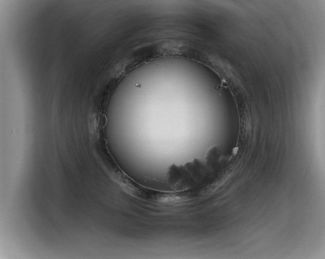 X0000115740759200911191445