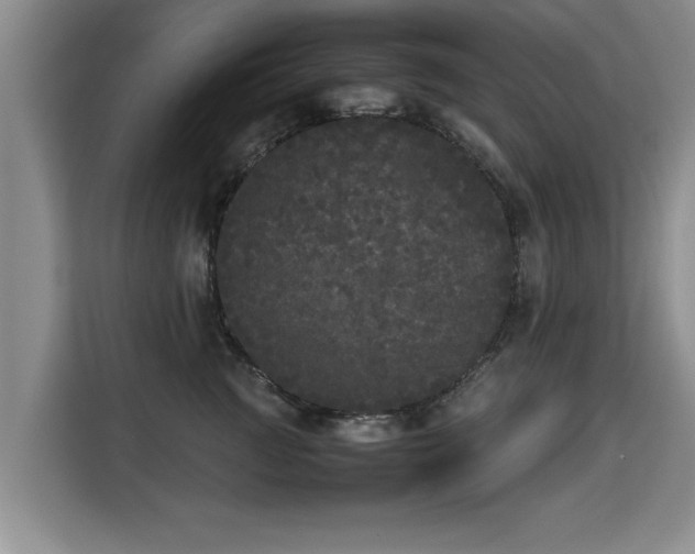 X0000115740761200911191445