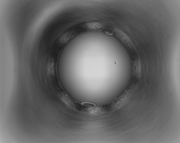 X0000115740762200911191445