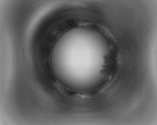 X0000115740763200911191445