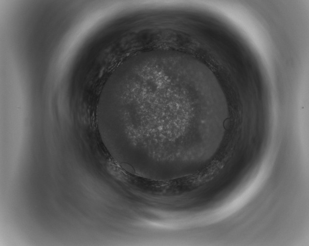 X0000115740767200911191445