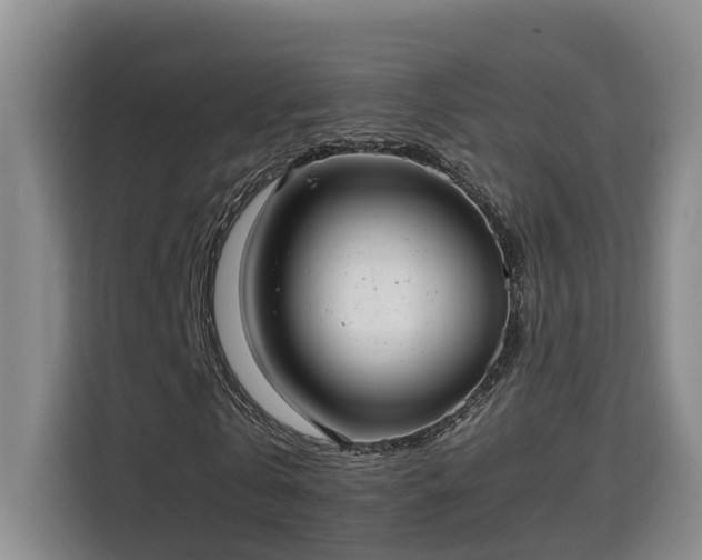 X0000115740769200911191444