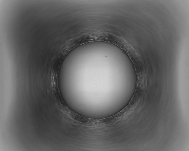 X0000115740770200911191444