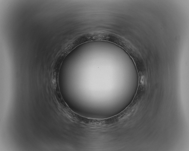 X0000115740771200911191444