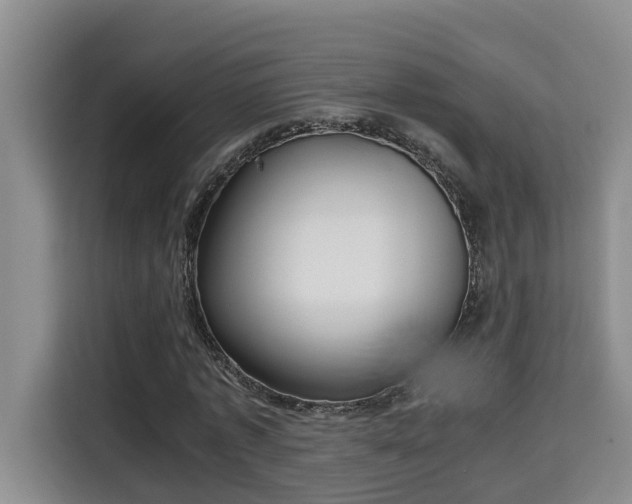 X0000115740773200911191444